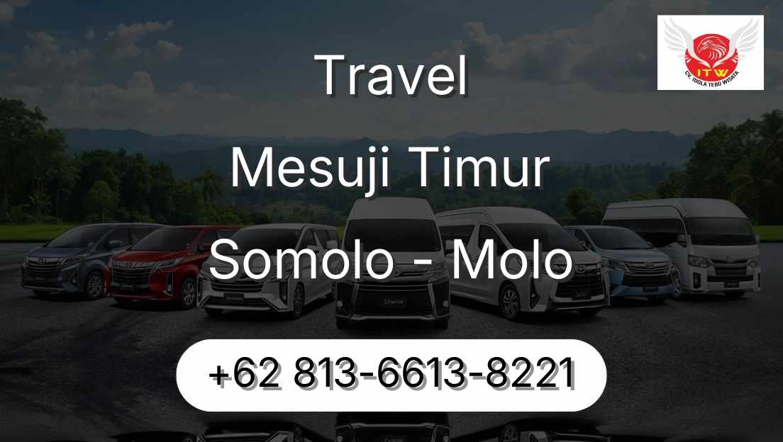 Travel Mesuji Timur Somolo - Molo