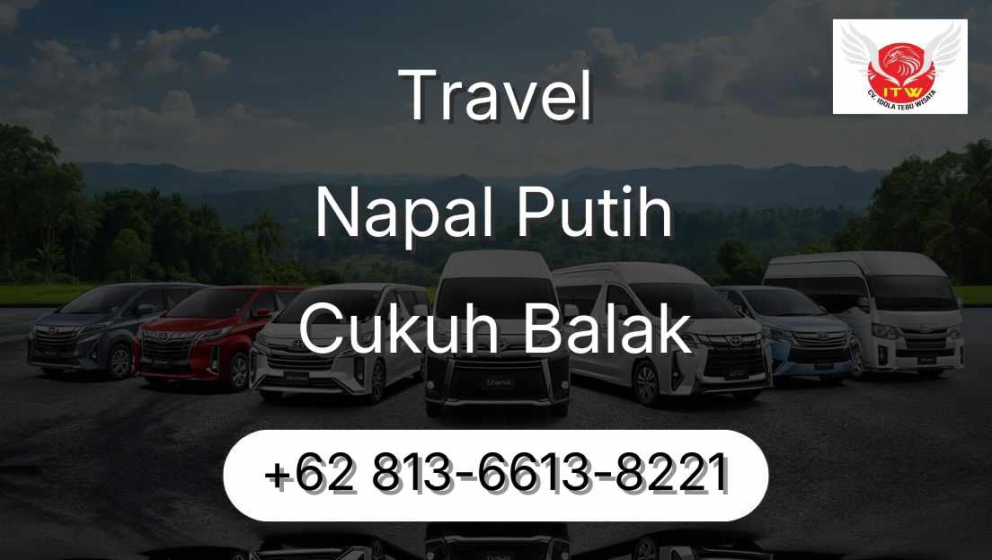 Travel Napal Putih Cukuh Balak