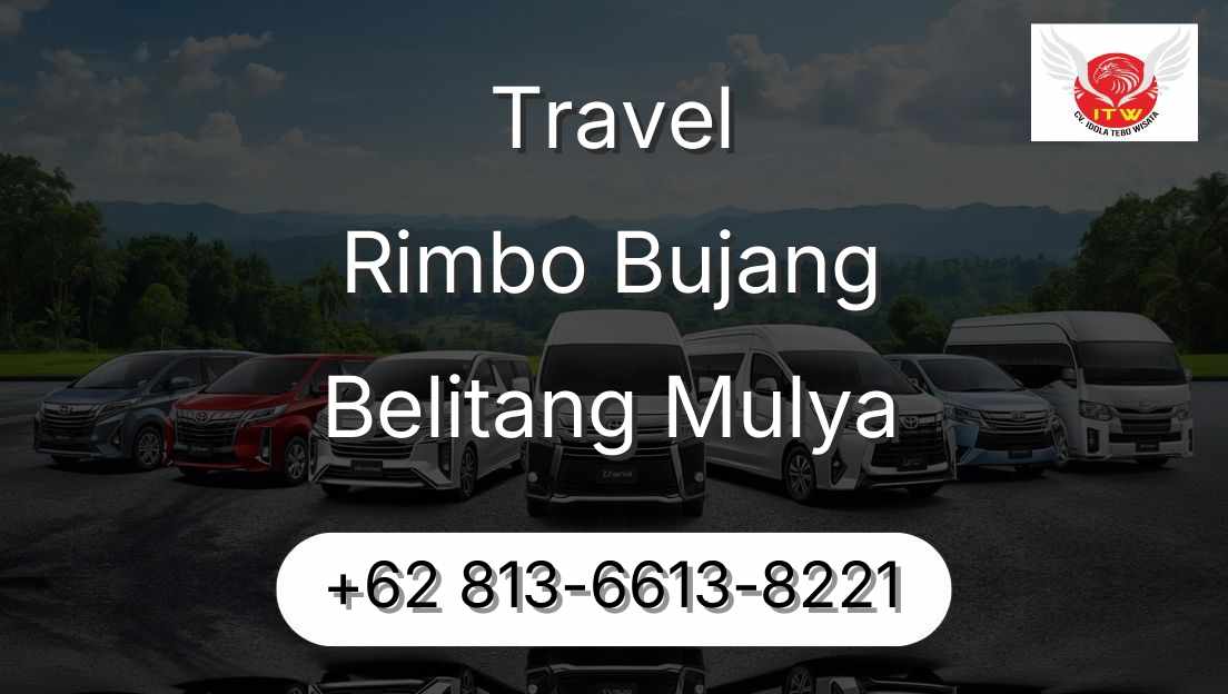 Travel Rimbo Bujang Belitang Mulya