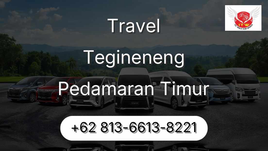 Travel Tegineneng Pedamaran Timur